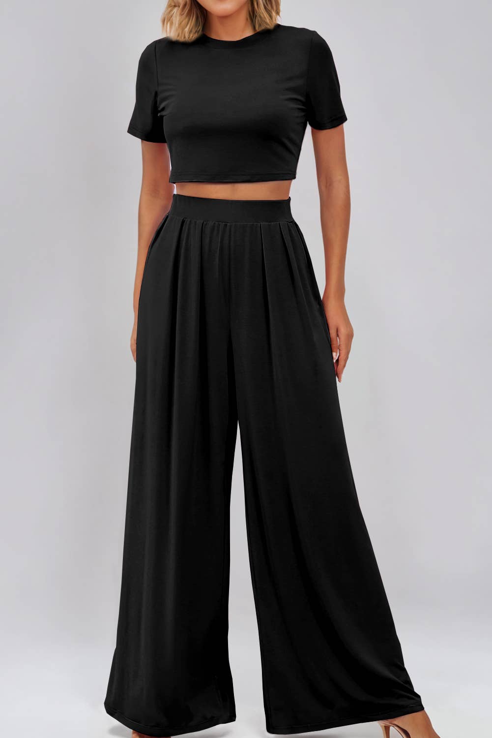 Crop Top and Pleated Wide Leg Pant Set