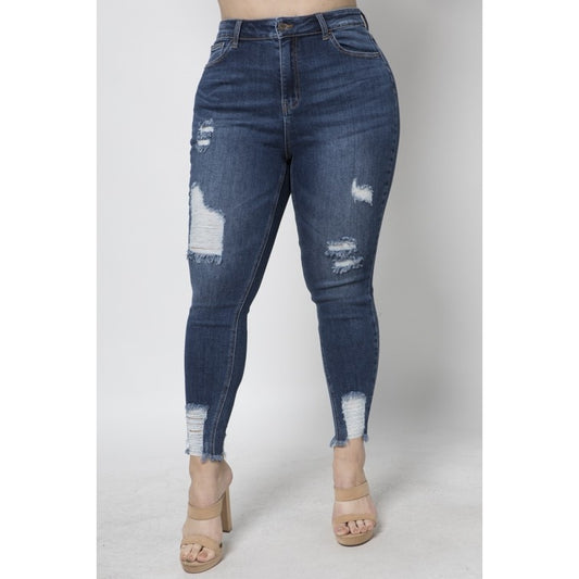 Jeans Distressed Skinny Curvy